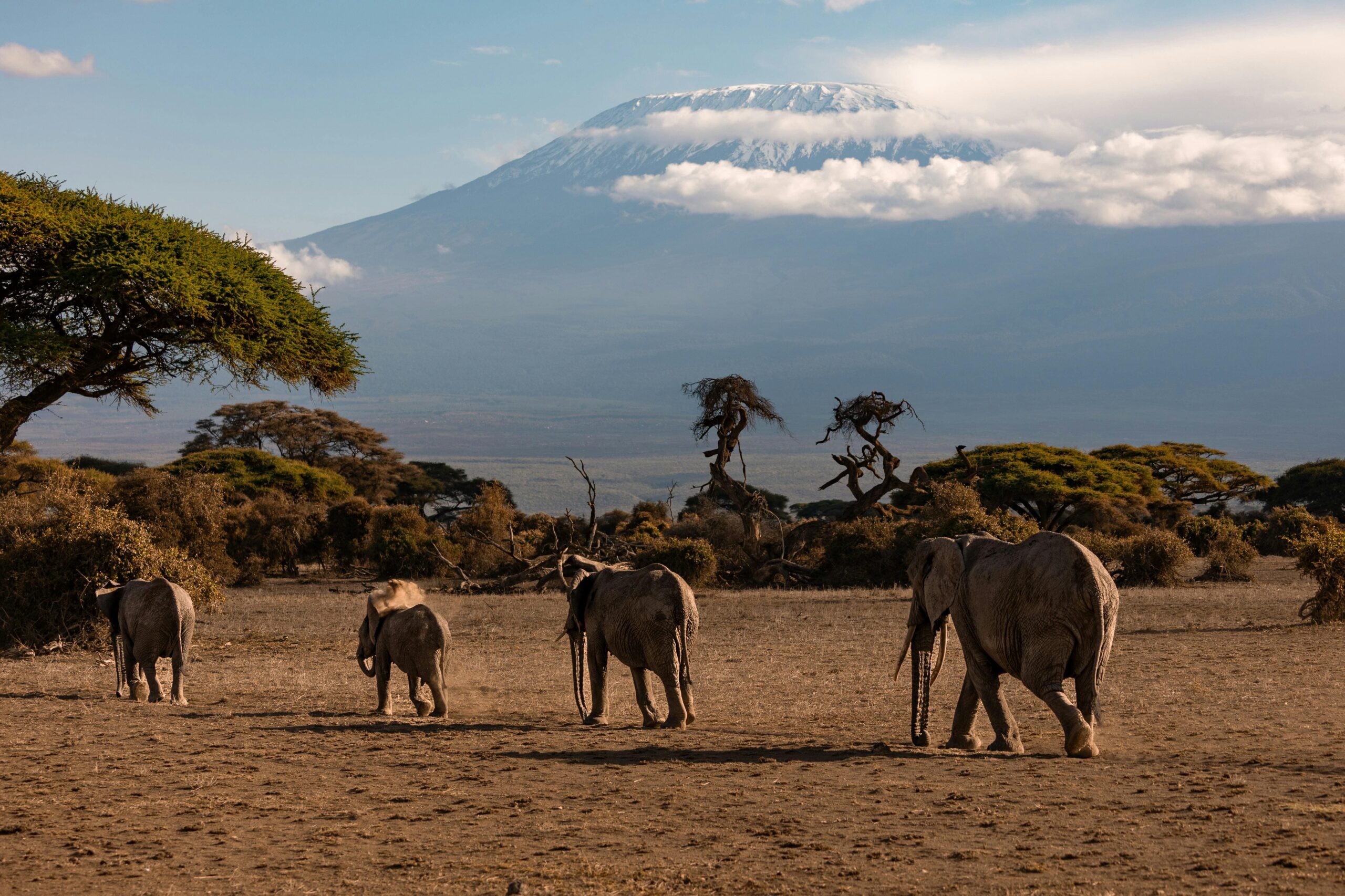 Tarangire National Park
