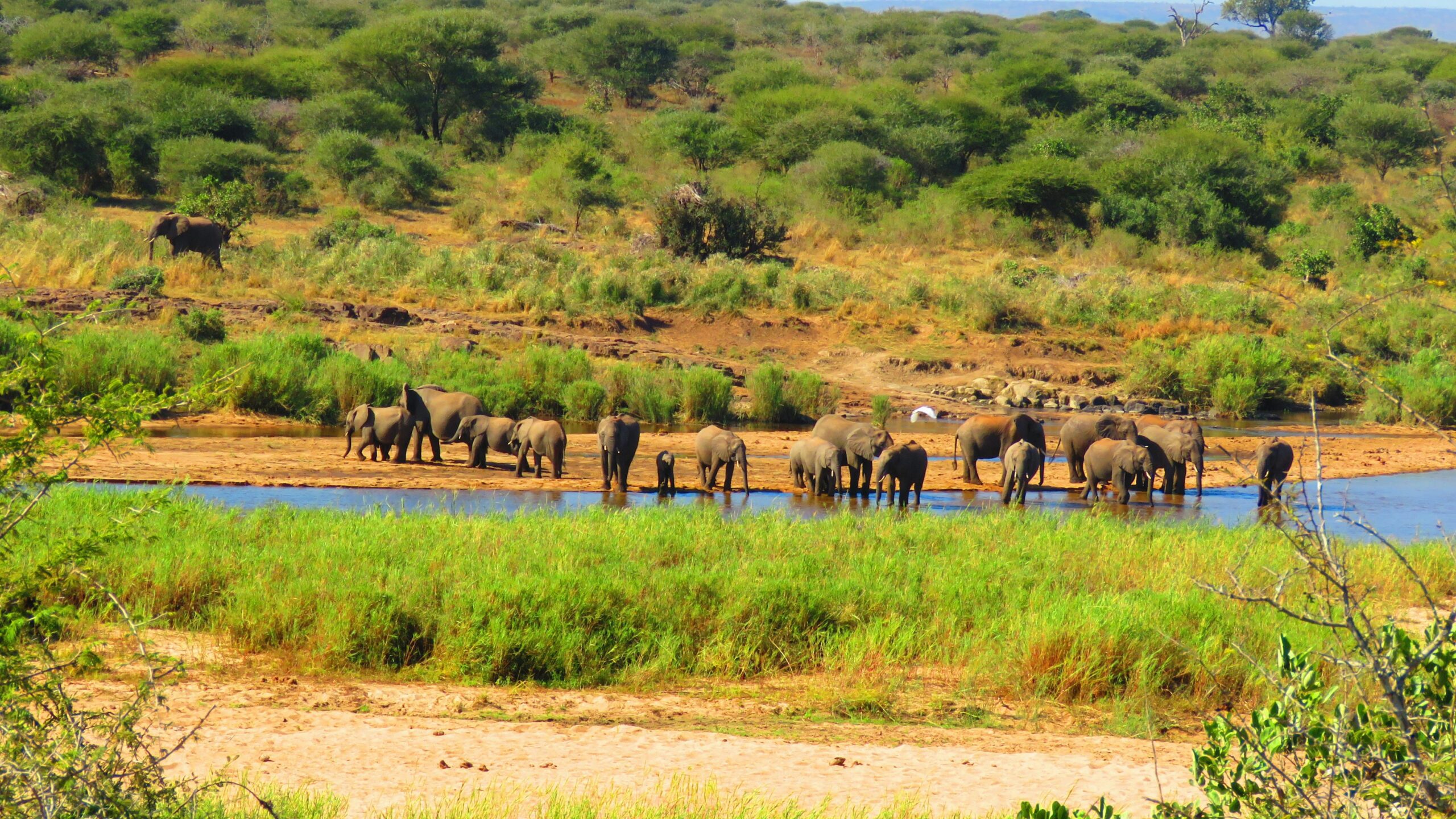 Lake Manyara National Park